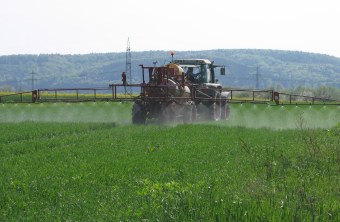 Pestizide | © Thomas Staab