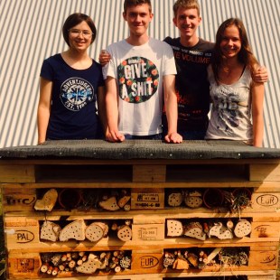 Schulgarten-Wettbewerb 2016 Descartes-Gymnasium Insektenhotel | © Descartes-Gymnasium