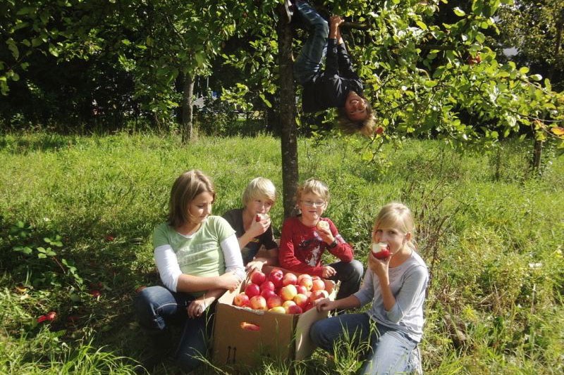 Schulgartenwettbewerb 2013 in Nordbayern | © StMUV
