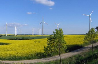 Windräder auf einem Feld in Streu und Saale | © Thomas Staab