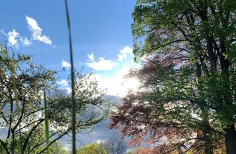 Miesbach | © Christa Glonner (Miesbach)