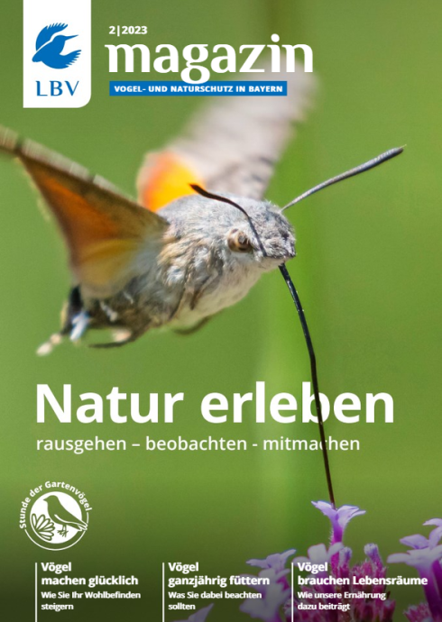 Cover Vogelschutzmagazin 02-23  Taubenschwänzchen