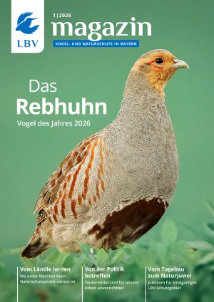Das Cover des LBV-Magazins 2026 zeigt ein Rebhuhn, den Vogel des Jahres, vor einem grünen Hintergrund.