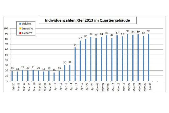Etnwicklung Große Hufeisennase 2013