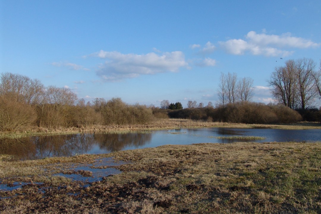 Flachwasser im Herbst | © C. Stoll
