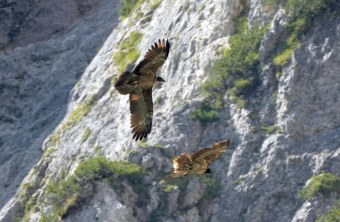 Generl und Vinzenz  |© Rupp Porti