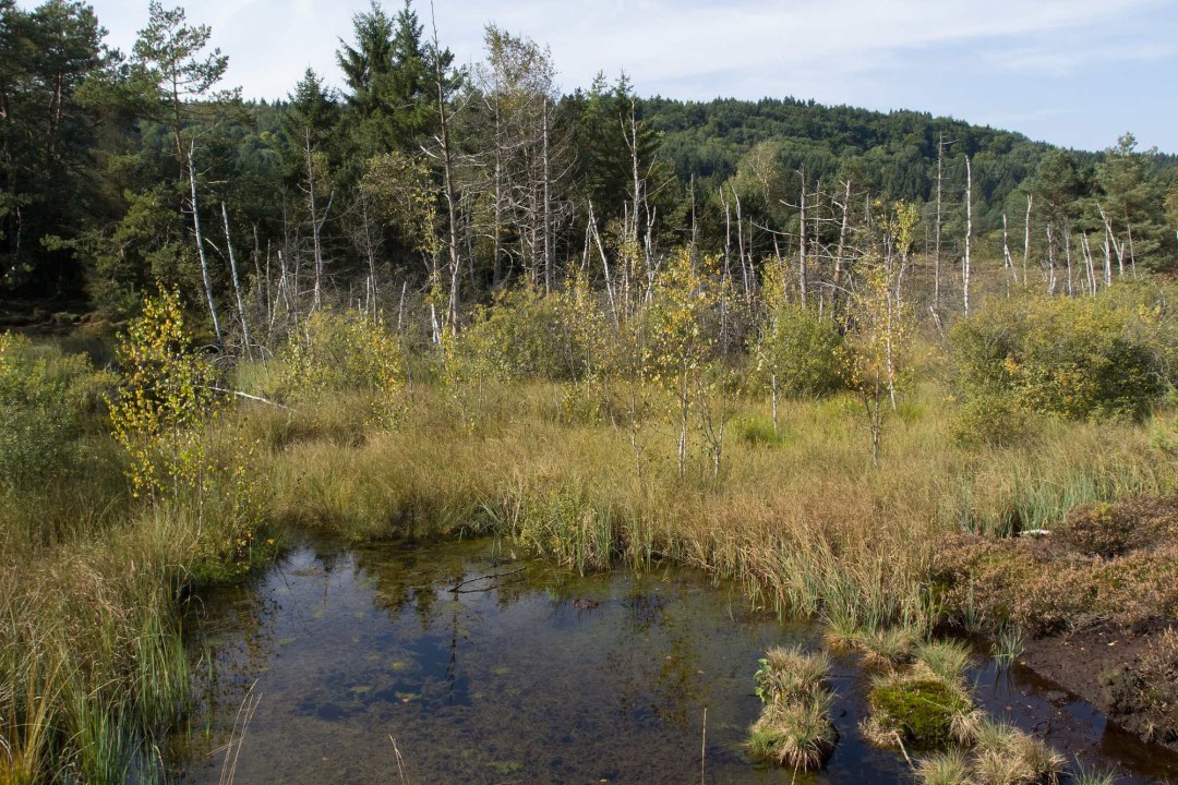 Eglinger Filz | © Oliver Wittig