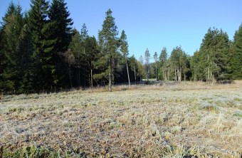 LBV-Schutzgebiet Gillenmoos | © Helmar Schreiter