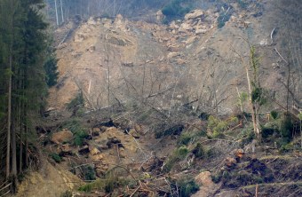 Murenabgang in den Bergen | © Henning Werth/LBV-Bildarchiv