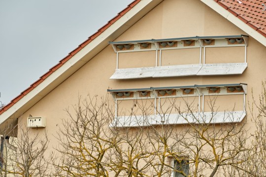 Nisthilfen am Haus | © Lindhorst Hauke