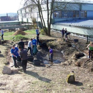 Schulgarten-Wettbewerb 2016 Friedrich-Rückert-Gymnasium Teichbau | © Friedrich-Rückert-Gymnasium