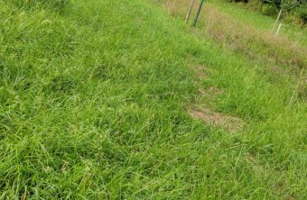 Roth | © Sonja Heruth (Roth)