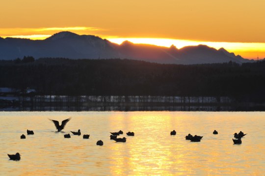Starnberger_See | © Dr. Olaf Broders