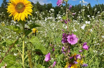Nürnberger Land | © Susanne Seltmann (Nürnberger Land)