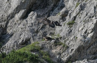 Wally und Bavaria - 2 | © Michael Wittmann