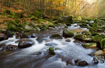 Ein wilder Bach mit vielen Steinen im herbstlichen Wald | © Marcus Bosch