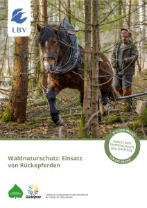 Waldnaturschutz: Einsatz von Rückepferden