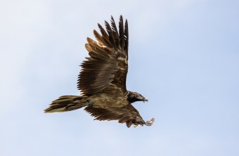 Vinzenz in Groningen, Niederlanden | © Matthias Feldhoff