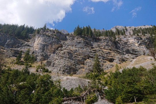 Die Steilhänge im Reintal, wo Wally gefunden wurde | © LBV