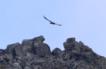 Sisi Hohen Tauern | © Markus Leitner