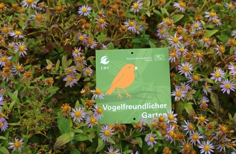 Vogelfreundlicher Garten im Herbst  | © Carola Bria