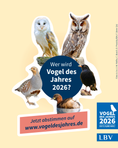 Kandidaten für den Vogel des Jahres 2026 werden vom LBV präsentiert, darunter Eule und Rebhuhn.