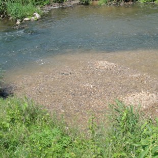 Eingebrachtes Kies in Schwäbisch Rezat |  © LBV
