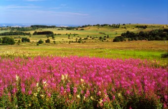 Bunte und vielfältige Landschaft | © Rudolf Diemer