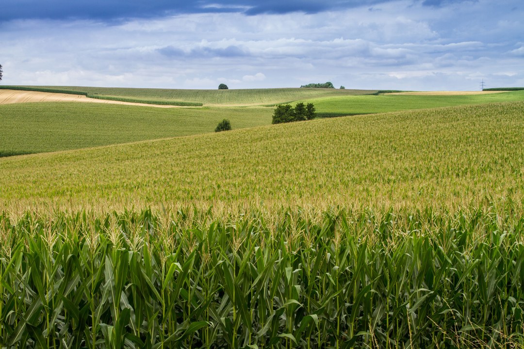 Ausgeräumte, monotone Ackerlandschaft, man sieht viele verschiedene Felder | © Andreas Hartl