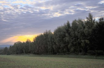 Neustadt an der Waldnaab | © Martin Grötsch (Neustadt an der Waldnaab)