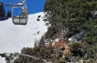 Scheidtobel | © LBV