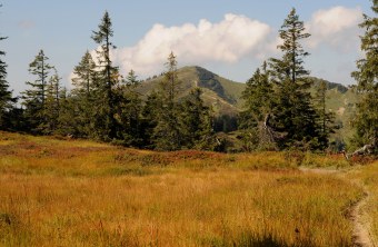 Riedberger Horn im Sommer | © Dr. Eberhard Pfeuffer