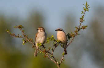 Oberfranken | © Urs Leuthäusser (Coburg)