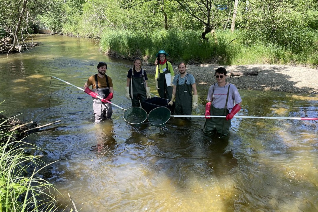 Fisch- und Muschelexkursion | © Christoph Binder
