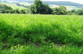 Oberhochstatt | © Adamina Mulder (Oberhochstatt)