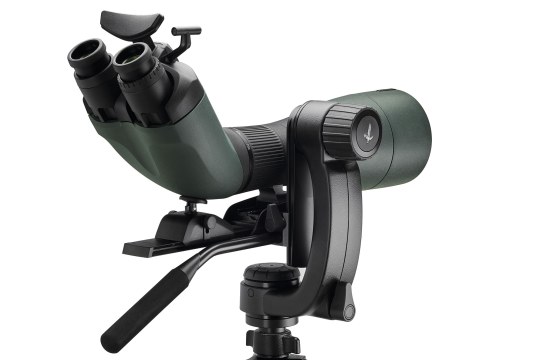Die BTX-Serie von Swarovski Optik ist eine einzigartige Kombination aus Spektiv und Fernglas, denn man kann mit zwei Augen hindurchsehen | © Swarovski Optik