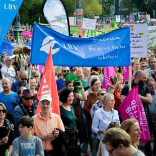 Menschen mit Flaggen bei der Demo "Mia ham's satt" | © LBV