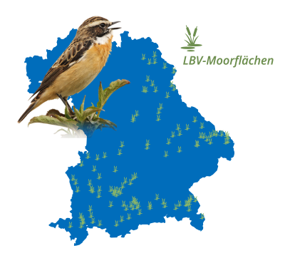 Moorgebiete in Bayern