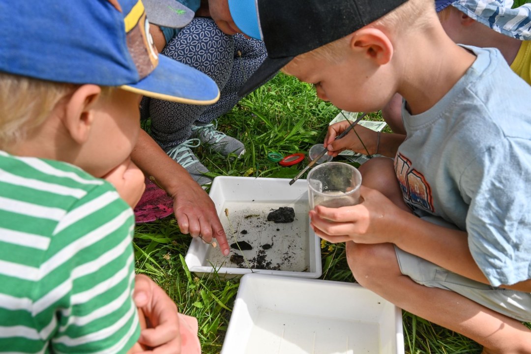 Kinder entdecken Wassertiere | © Tobias Tschapka