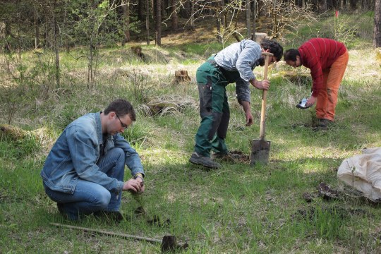 Pflegeeinsatz Ortsgruppe im Wiedergeltinger Wäldchen | © LBV