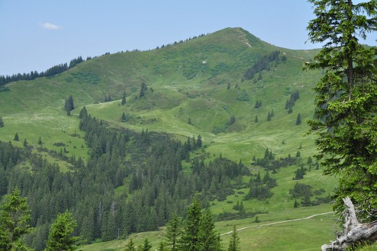 Riedberger Horn im Sommer | © Henning Werth