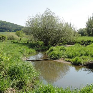 Fluss Schwarzach nach der Renaturierung | © Bernd Raab