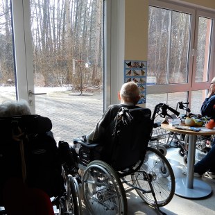 Senioren beobachten am Vogelfenster die Futterstation | © AWO-Pflegeheim Wendelstein