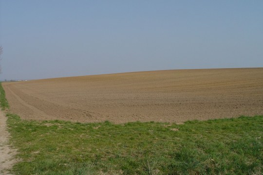 Trister Acker | © Natascha Neuhaus