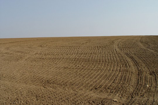 Trister Acker | © Natascha Neuhaus