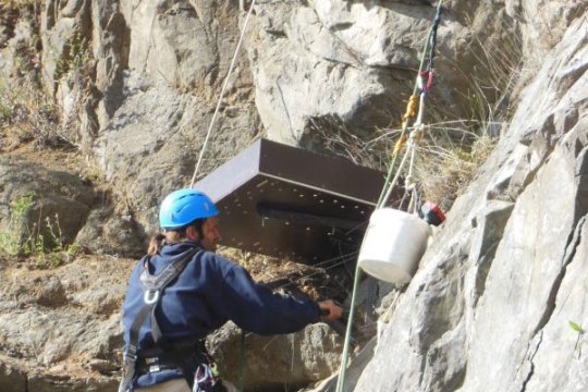 Uhu Nistkasten in Bayreuth wird installiert | © Marcel Krüger