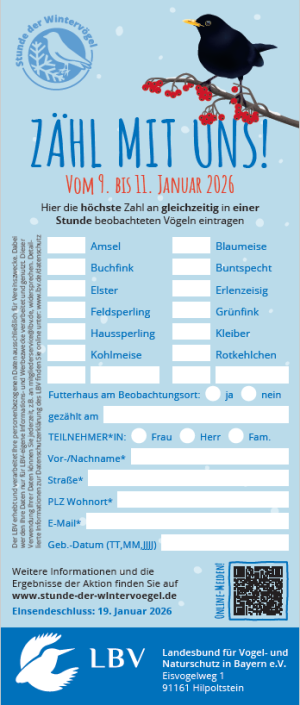 Zeitungsmeldebogen 2024 bunt 80x189