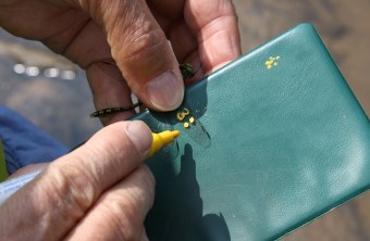 Grüne Keiljungfer wird mit einem gelben Stift markiert | © Carola Bria