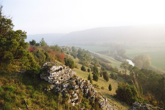 Altmühltal, Hang mit Felsen | ©Zoran Jokic