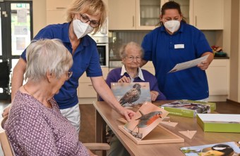 Bewohnerinnen in vollstationären Einrichtungen mit Pflegerinnen